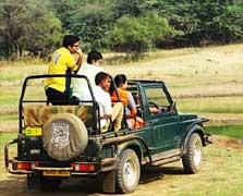 sariska jeep safari