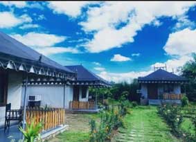 sariska resort