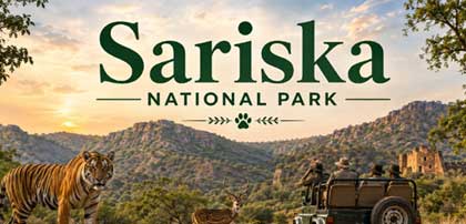 sariska tiger tour